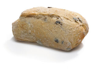 Mini Pain D’Antan Olijven