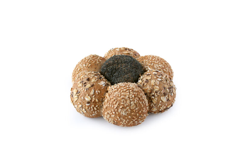 Marguerite Breekbrood Bruin